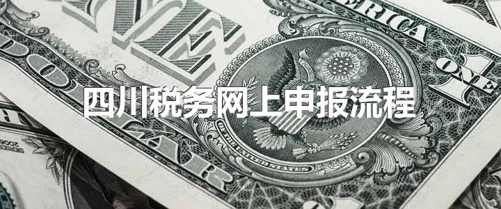 四川税务网上申报流程